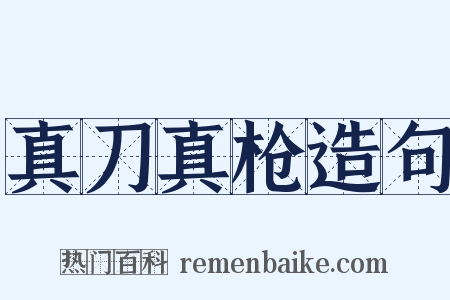 真刀真枪造句是什么意思的图片